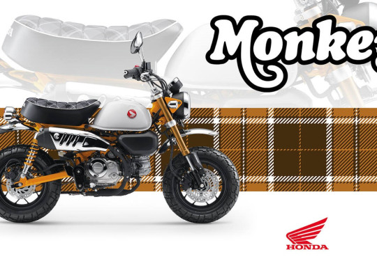 570457_26YM_Honda_Monkey_125.jpg