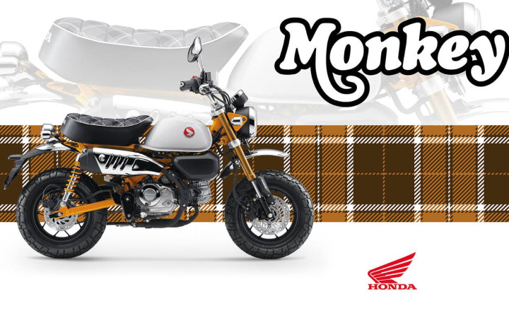 570457_26YM_Honda_Monkey_125.jpg